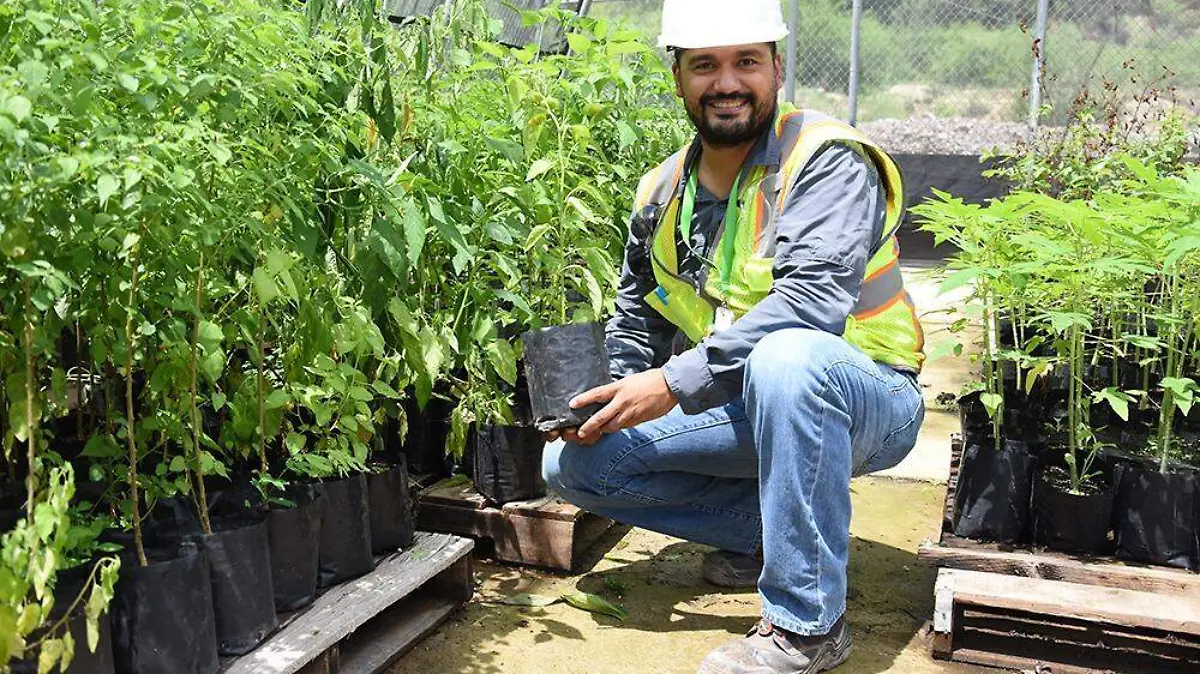 minería medio ambiente